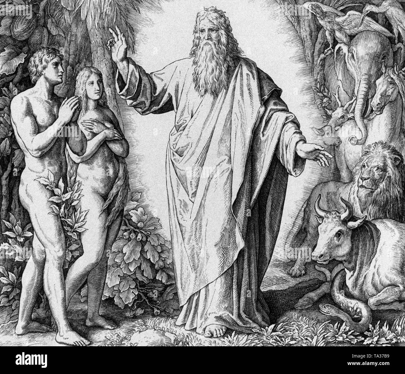 Le sixième jour de la création. Dieu créant l'homme et les animaux terrestres. Dessin de Julius Schnorr von Carolsfeld (1794-1872). Banque D'Images