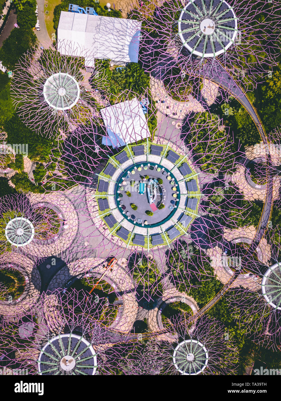 Vue aérienne du Supertree Grove dans les jardins de la baie, à Singapour Banque D'Images