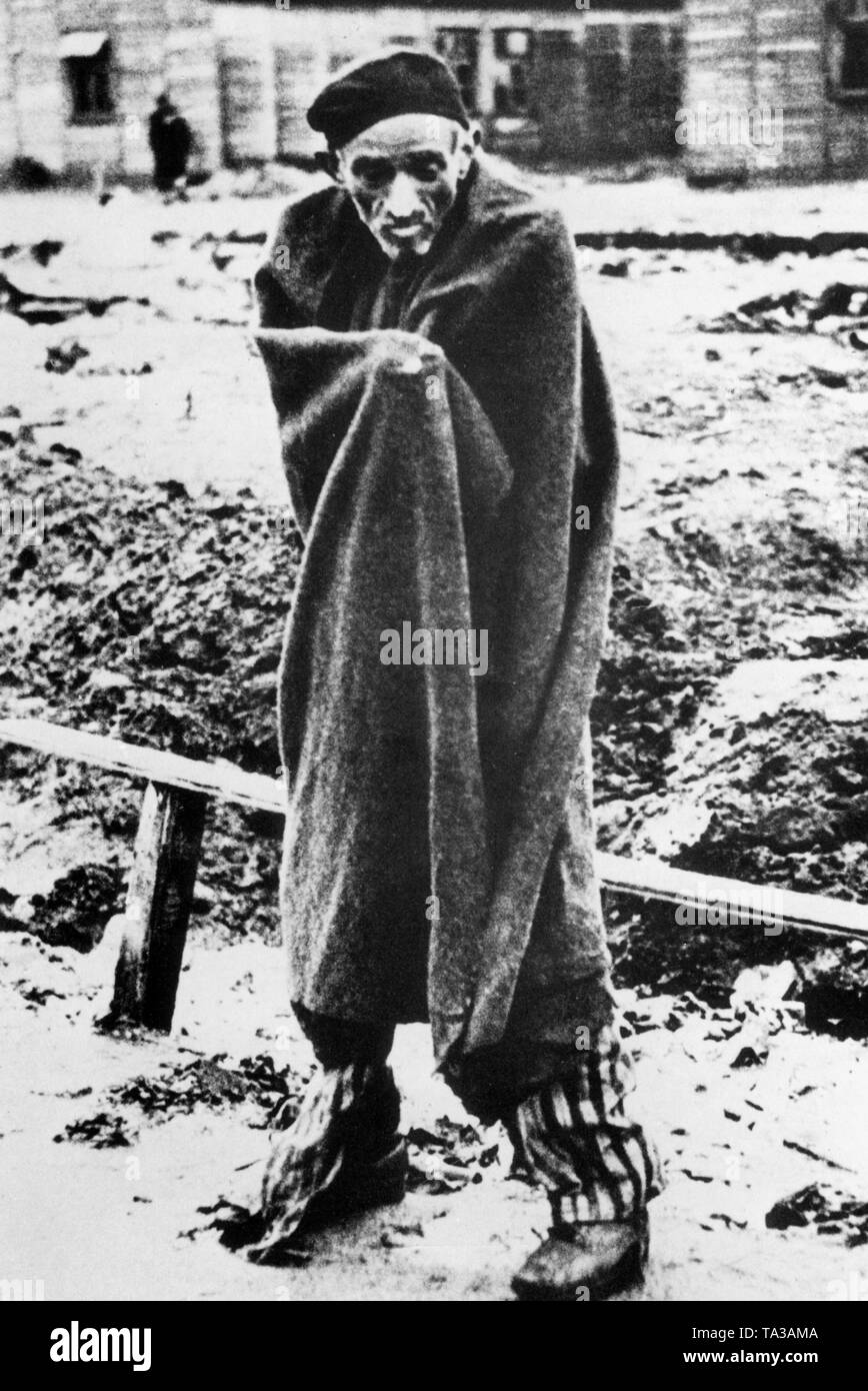 Photo non datée d'un camp de concentration prisonnier dans le camp de concentration Auschwitz-Birkenau. Banque D'Images
