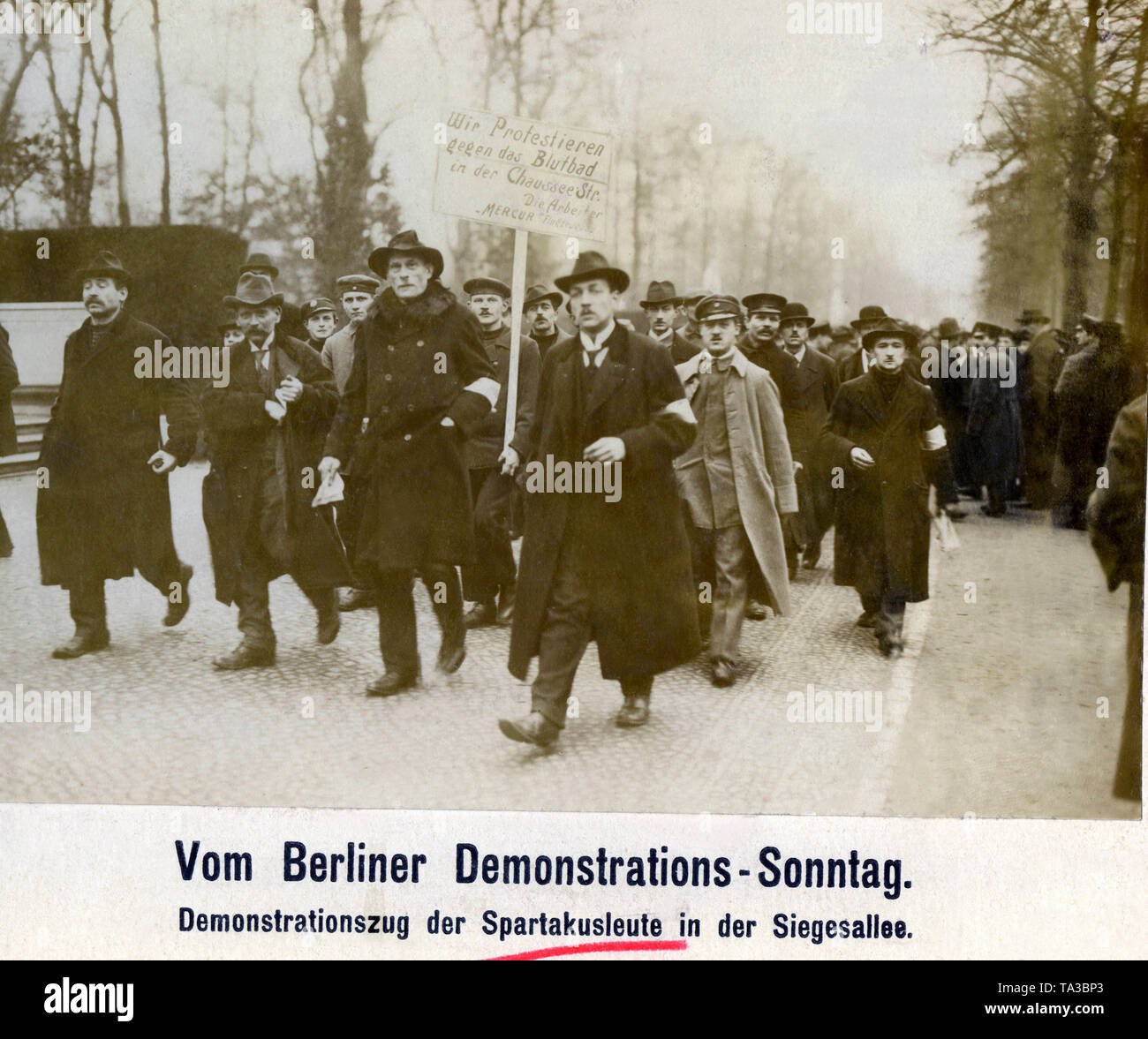 En décembre 1918, les membres de la Ligue Spartacus démontré dans le Tiergarten à Berlin, Siegesallee. À la tête de la procession, ils portent un signe avec lequel ils protestent contre la brutalité de l'aide vers les unités de travailleurs insurgés dans la Chausseestrasse sur 06/12/1918. Banque D'Images