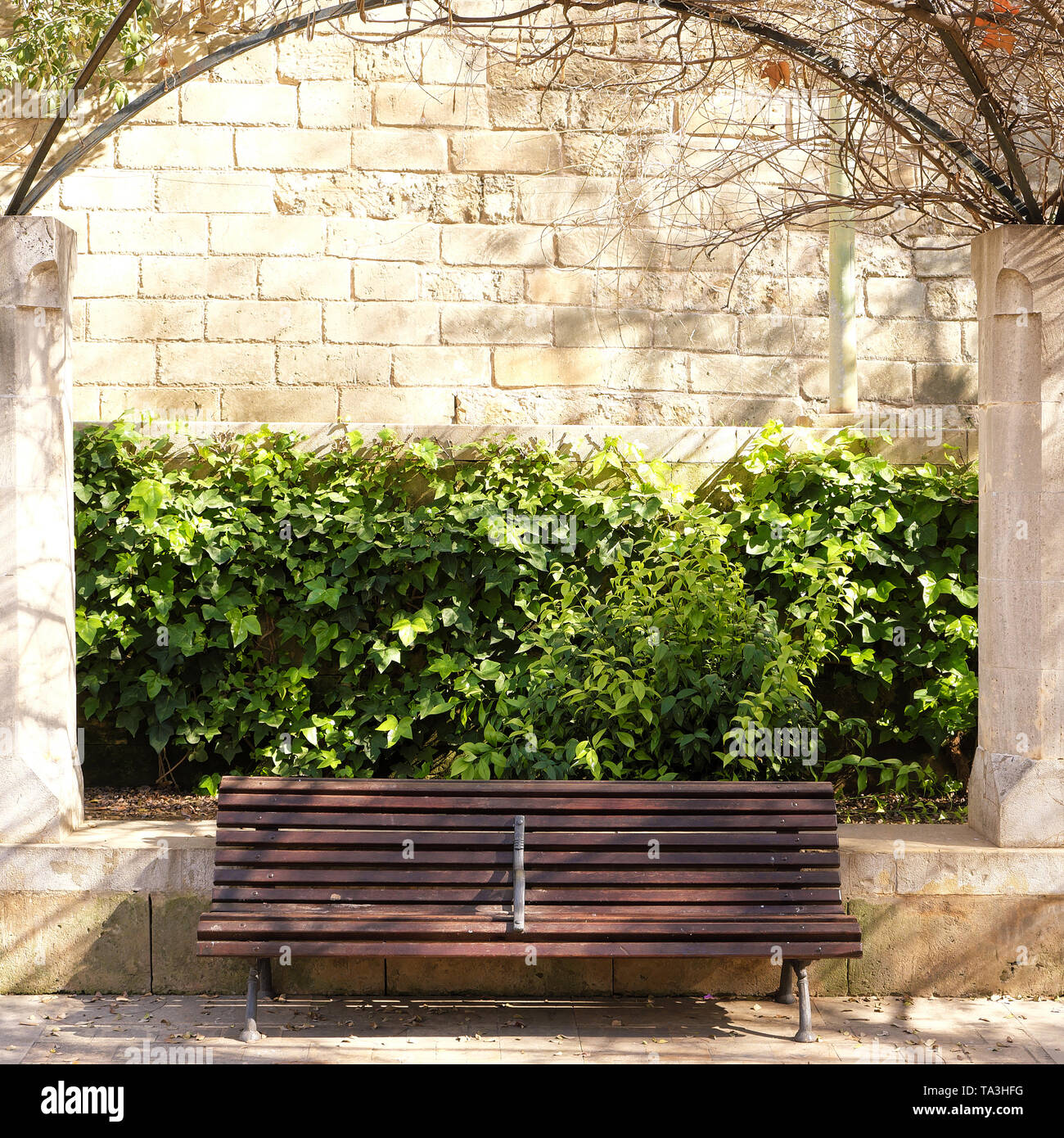 Kings palace almudaina Palma Majorque jardin banc de parc Banque D'Images