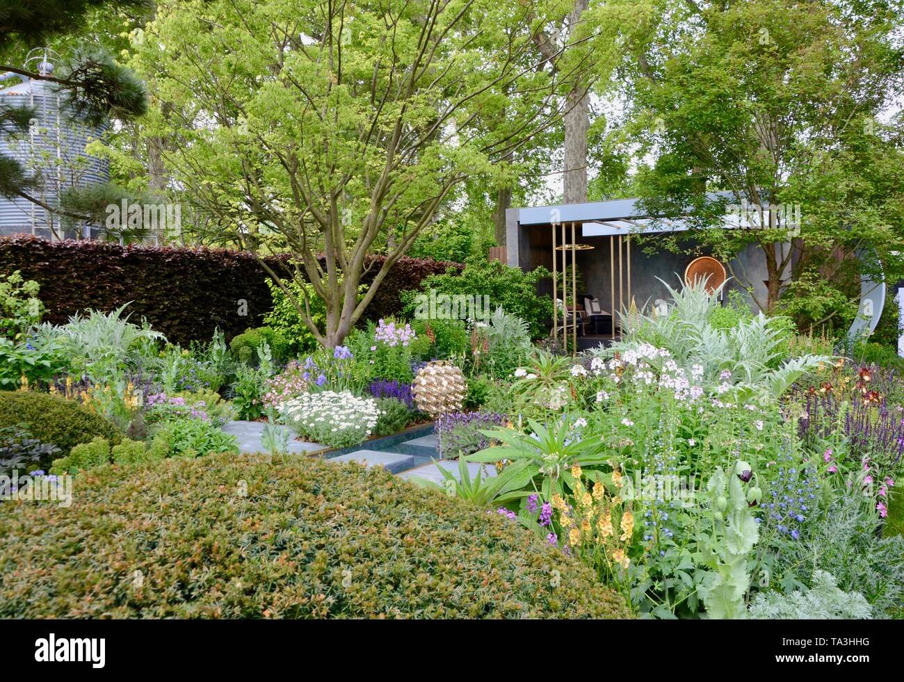 Le Morgan Stanley au jardin 2019 rhs Chelsea Flower show à Londres en Angleterre Banque D'Images