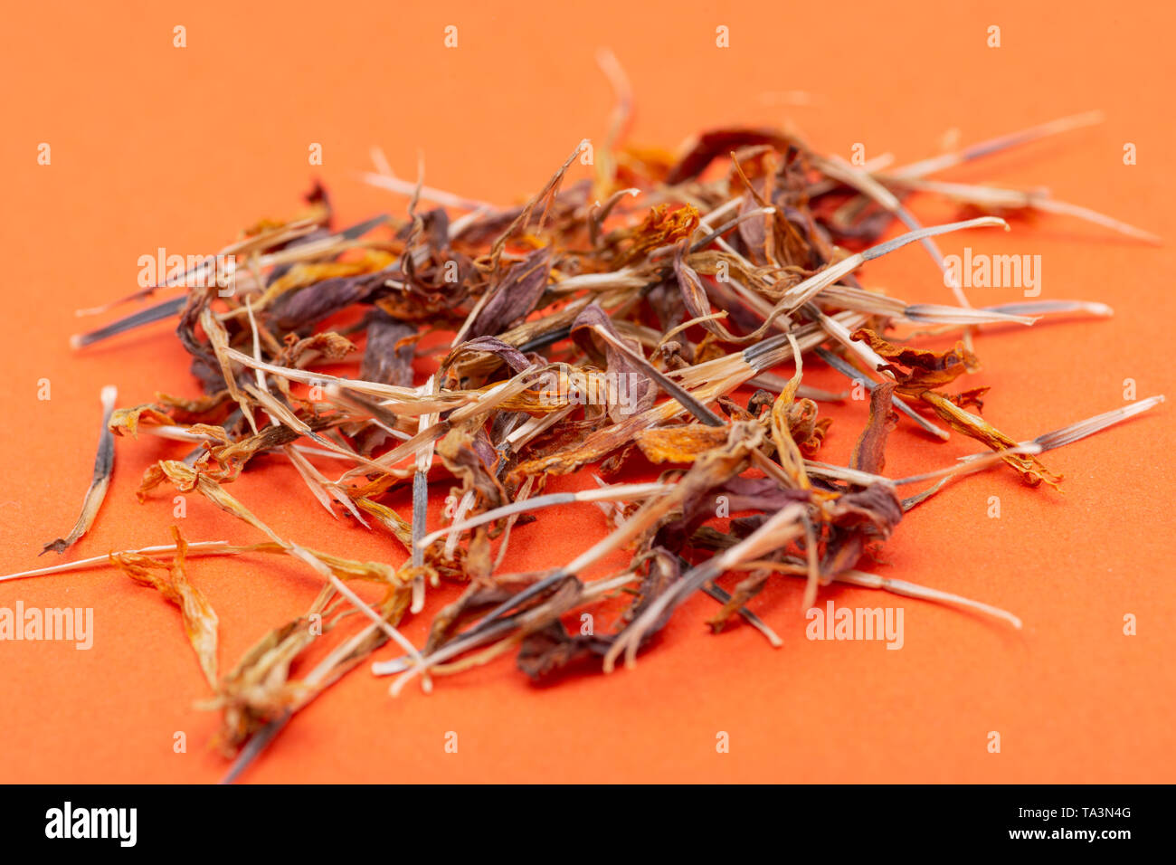 Tas de graines sèches de souci (Calendula Mexicaine, Aztec marigold, marigold africains) sur fond coloré. Tagetes erecta. La famille des marguerites. Banque D'Images