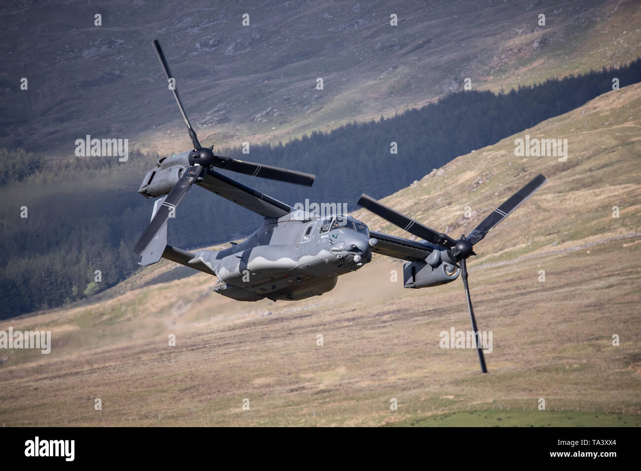 Un CV22 Osprey Bell-Boeing USAF fait un faible niveau passent par Mach Loop, près de Dolgellau, Pays de Galles, Royaume-Uni. Banque D'Images