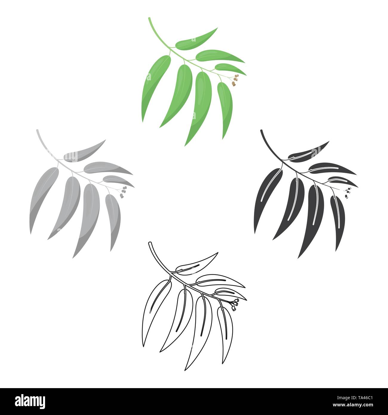Vector illustration d'eucalyptus dans l'icône cartoon,black design Illustration de Vecteur