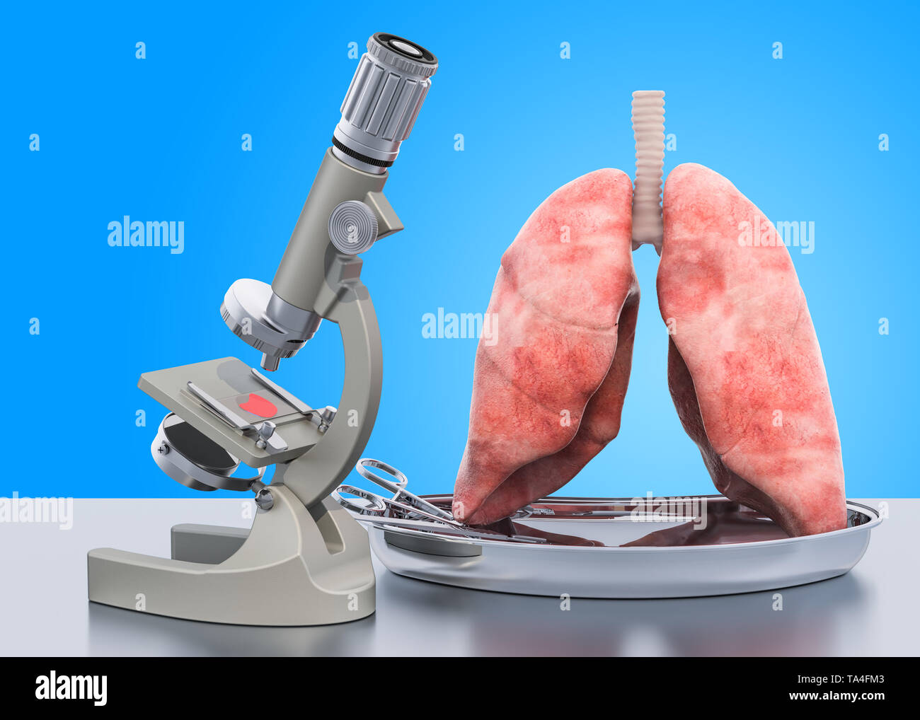 La recherche et le diagnostic des maladies des poumons concept. Microscope de laboratoire avec les poumons, 3D Rendering Banque D'Images