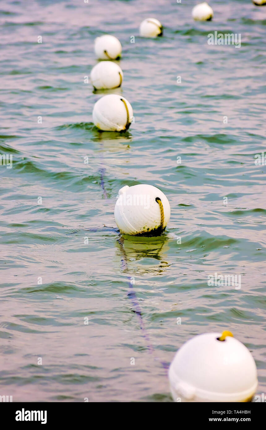 Corde de sécurité flottante des bouées dans le golfe du Mexique, le 2 août 2014, à Dauphin Island, Alabama. Banque D'Images