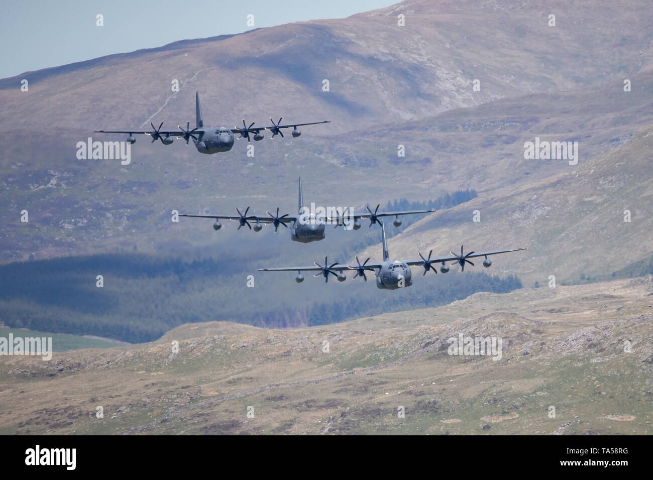 Un rare groupe de quatre avions Hercules C-130 de l'USAF voler à basse altitude dans la zone 7, boucle Mach près de Dolgellau, Pays de Galles, Royaume-Uni. Banque D'Images