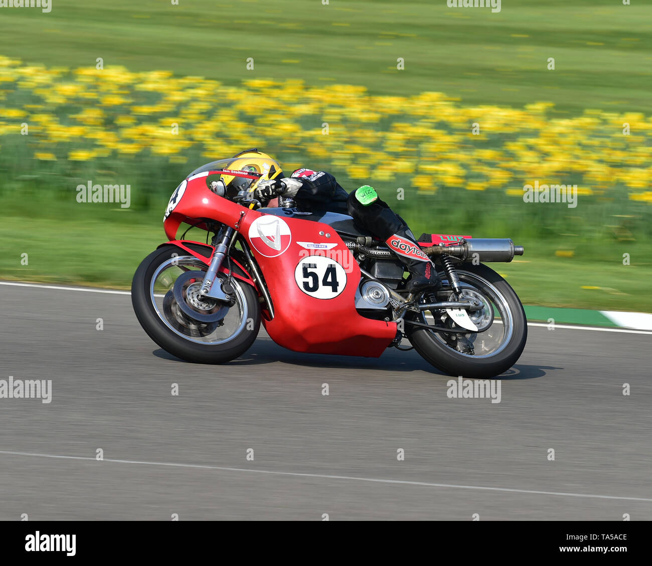 Ian Steltner, Sealey Weslake, Sheene Trophy, Goodwood, 77e réunion des membres, Goodwood, West Sussex, Angleterre, avril 2019, Christian Jacq, voitures, raci circuit Banque D'Images