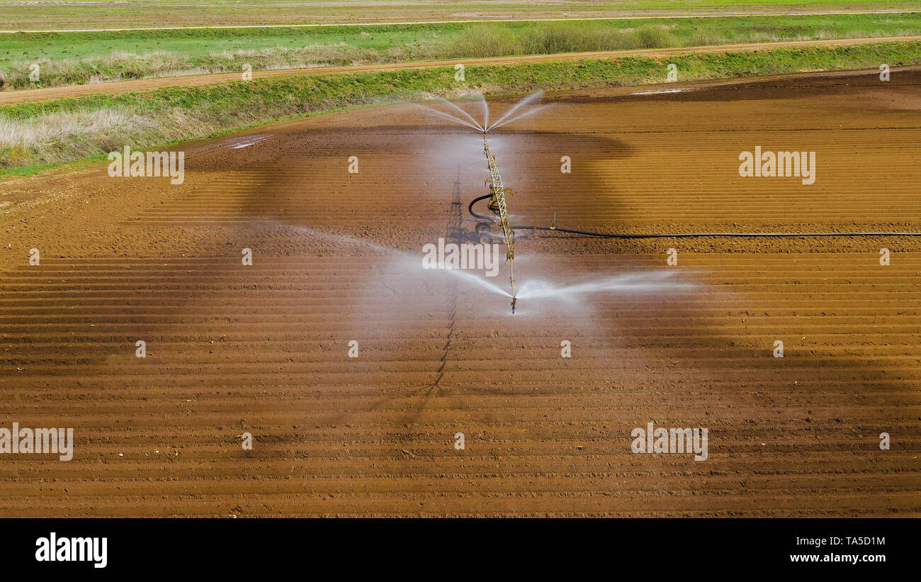 Vue aérienne de l'agriculture l'irrigation à pivot central de la machine les cultures. Un pivot d'irrigation l'arrosage des terres agricoles. Arrosage irrigation des terres agricoles. Banque D'Images