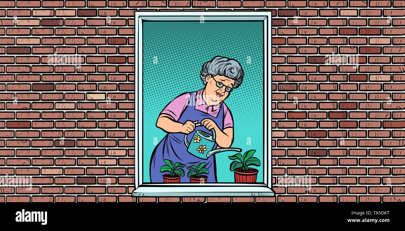 La vieille femme dans la fenêtre d'arroser les fleurs en pot Illustration de Vecteur