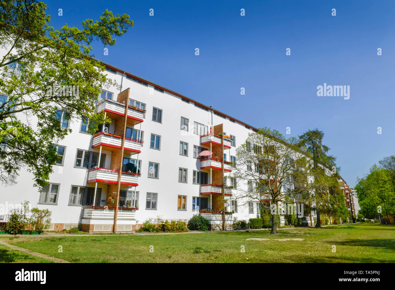 Des constructions résidentielles 'Otto Bartning ''la misère'', long Göbelstrasse, grands différends Siemensstadt, Spandau, Berlin, Allemagne', Wohnbauten von Ot Banque D'Images