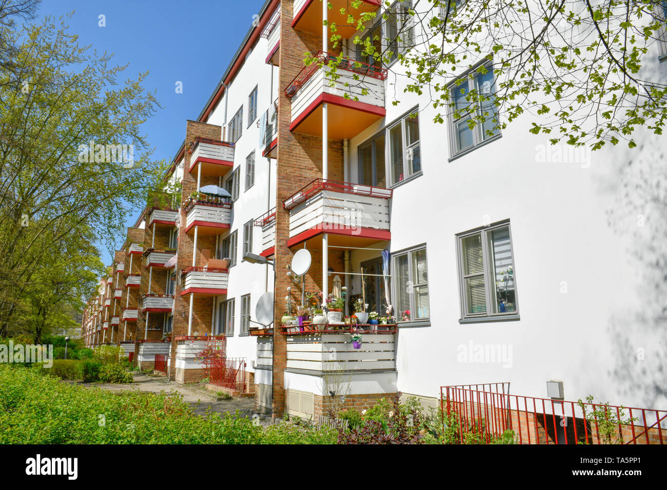 Des constructions résidentielles 'Otto Bartning ''la misère'', long Göbelstrasse, grands différends Siemensstadt, Spandau, Berlin, Allemagne', Wohnbauten von Ot Banque D'Images