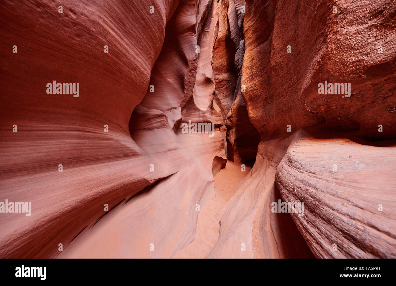 Antelope Canyon X, Page, Arizona, USA, Amérique du Nord Banque D'Images