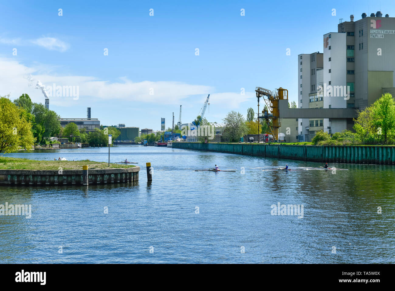 En bouche Spree Havel, Spandau, Berlin, Allemagne, Spreemündung dans die Havel, Deutschland Banque D'Images