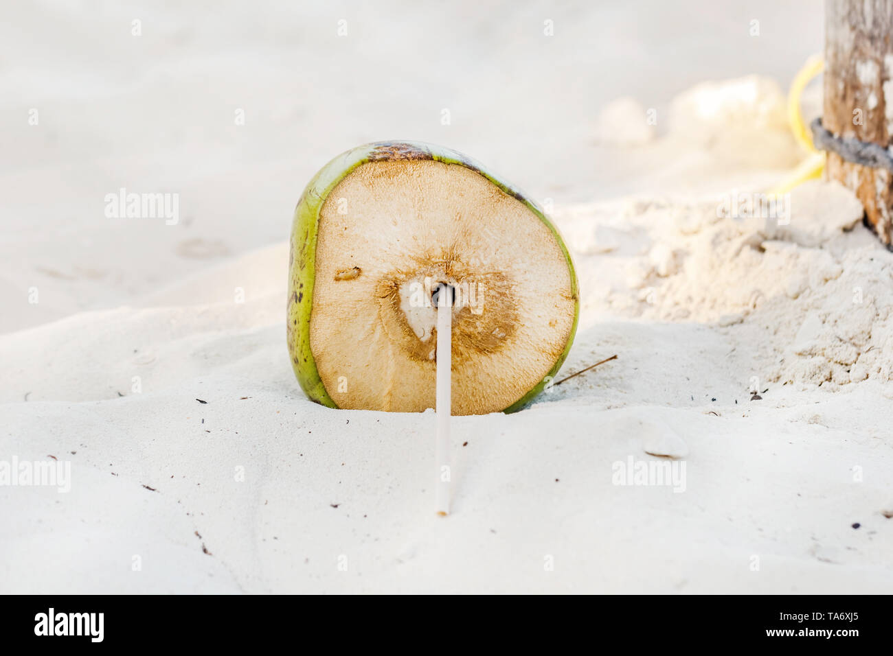 Grosse noix de coco fraîche avec le tube à l'intérieur sur le sable Banque D'Images