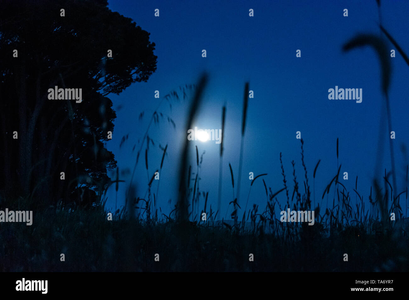 Moon Magic Photos Moon Magic Images Alamy
