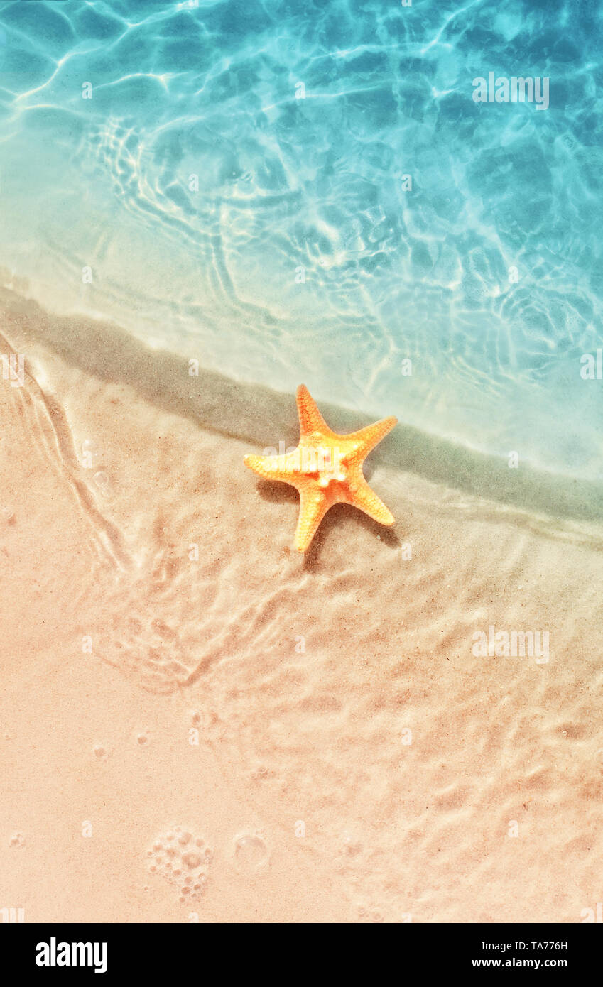 Étoile de mer sur la plage d'été. Arrière-plan de l'été. La plage de sable tropicale. Banque D'Images