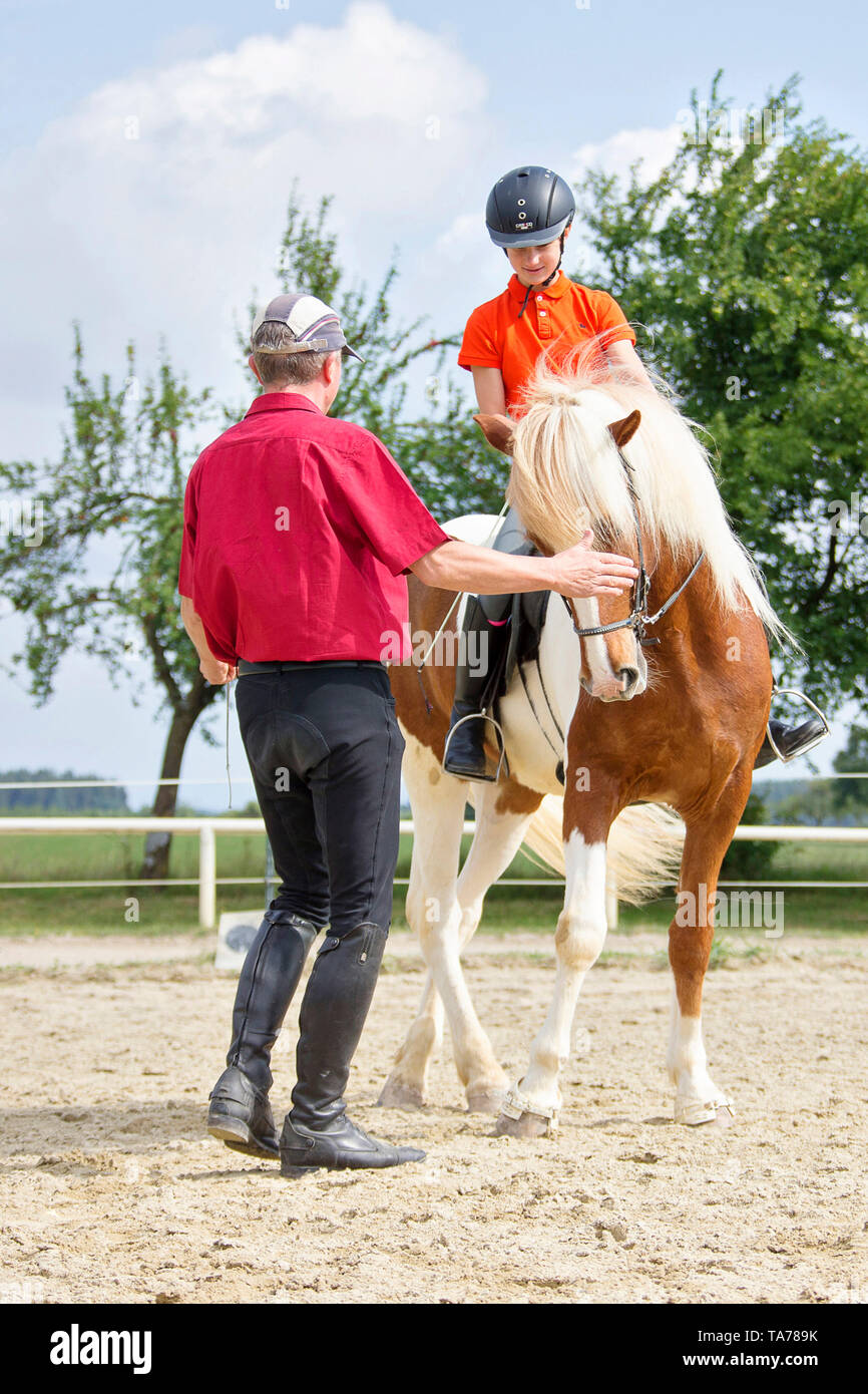 Cheval islandais. Un professeur d'équitation donne des leçons d'une fille. L'Autriche Banque D'Images
