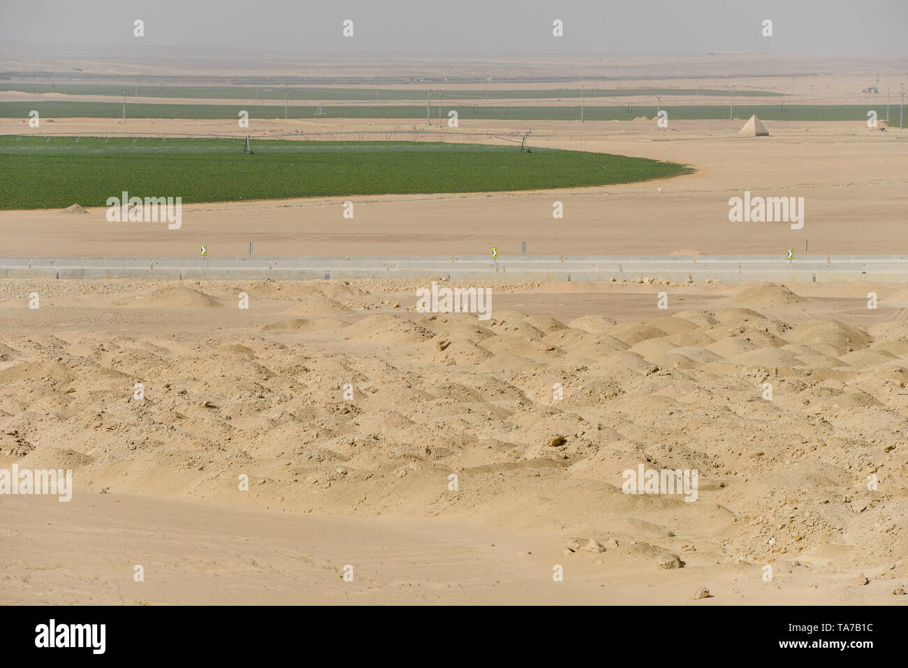 Egypte, Caire route de Baharia, désert, l'agriculture 1,5 Mio Feddan Projet, les champs sont irrigués par ronde cercle pivot d'irrigation, l'eau souterraine fossile de l'aquifère des grès de Nubie est pompée à partir de 1000 mètres de profondeur wells / AEGYPTEN, Landwirtschaft in der Wueste, 1,5 millions de feddans Projekt, rotation de l'Kreisbewaesserung von Feldern Banque D'Images