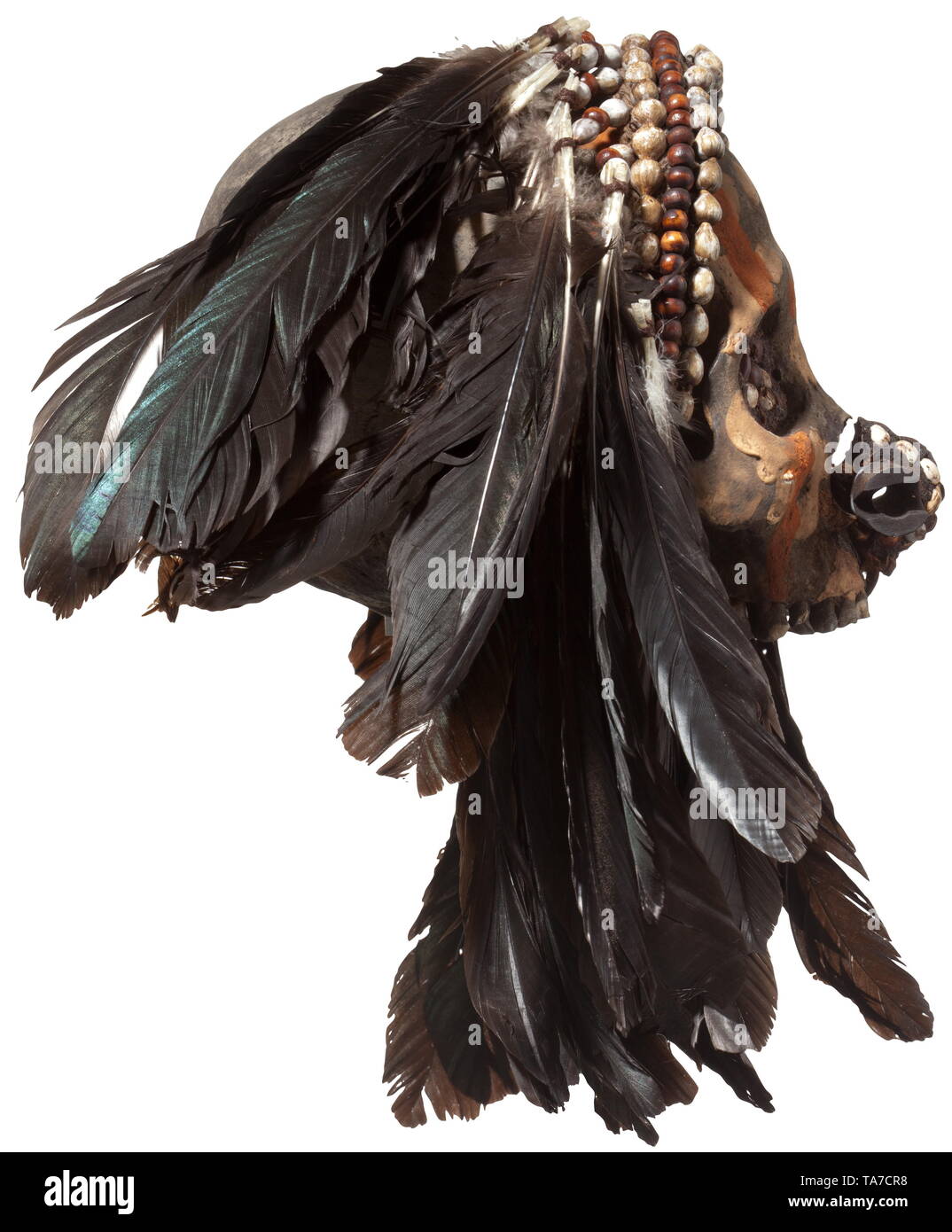 Un crâne de l'ancêtre du peuple Asmat peint polychrome crâne humain sans mâchoire inférieure, les yeux remplis de graines. Nez nez complexe avec bouchon. Coiffe textile avec des coquillages et de plumes. Hauteur 15 cm., historique, historique de l'archipel indonésien, l'Indonésie, l'Extrême-Orient, Asie, Asiatique, l'ethnologie, l'appartenance ethnique, tribale, ethnique, objet, objets, alambics, clipping, coupures, cut out, cut-out, cut-outs,-Additional-Rights Clearance-Info-Not-Available Banque D'Images