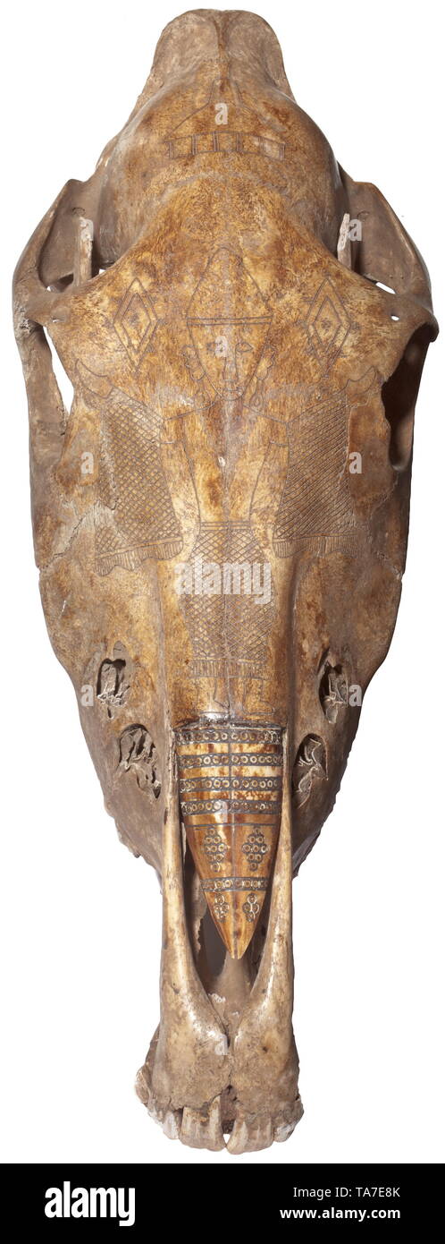 Un crâne gravé cheval timorais crâne patiné avec sueurs, finement gravée la représentation des reptiles, sur le front des rore figure humaine dans le cadre d'un poste, la chambre stylisée avec ouverture nasale inséré et ornamentally os gravé. Longueur 49 cm., historique, historique de l'archipel indonésien, l'Indonésie, l'Extrême-Orient, Asie, Asiatique, l'ethnologie, l'appartenance ethnique, tribale, ethnique, objet, objets, alambics, clipping, coupures, cut out, cut-out, cut-outs,-Additional-Rights Clearance-Info-Not-Available Banque D'Images