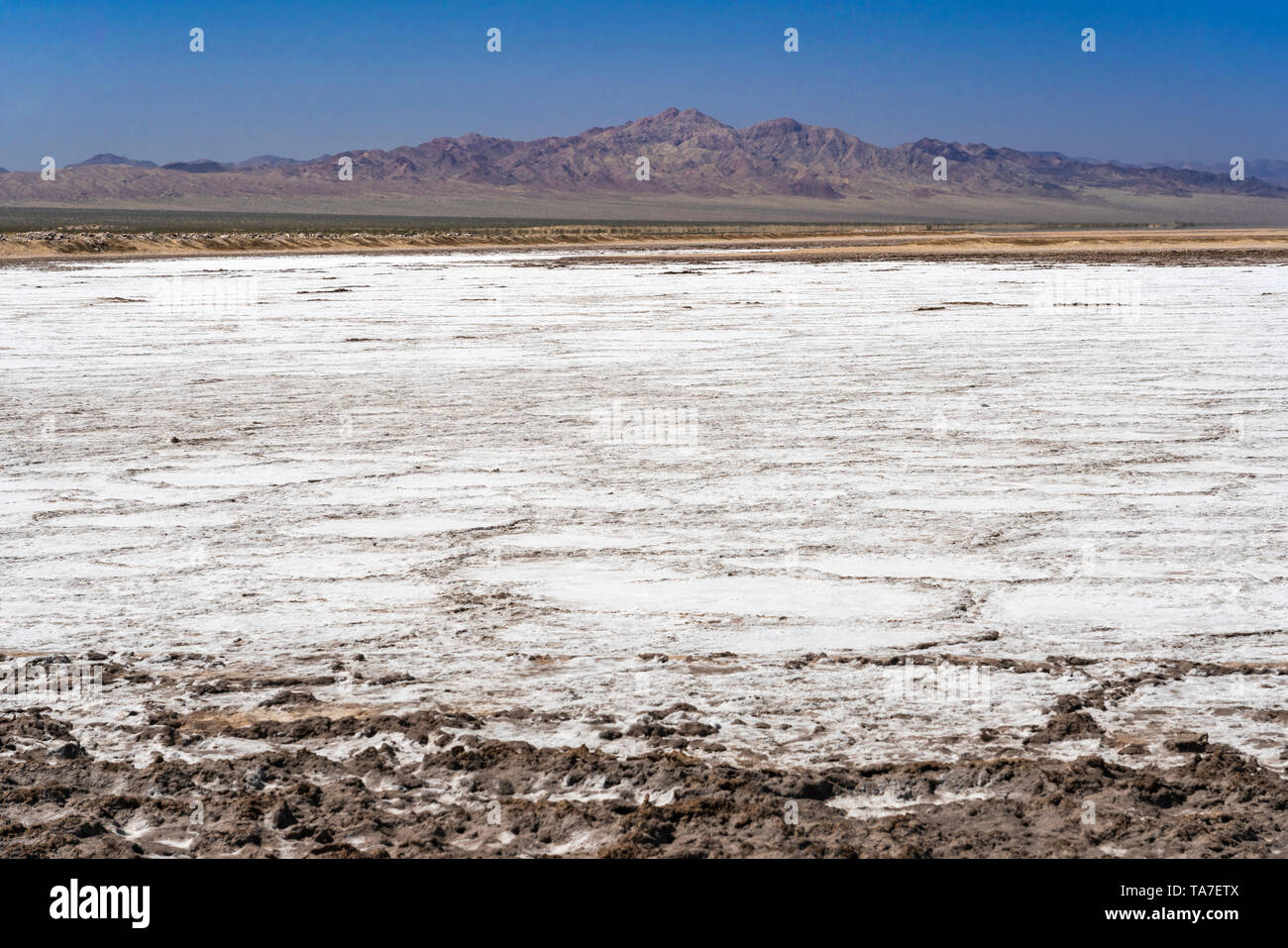 Le Bristol Dry Lake accumulation de sel sur la Route 66, près de Amboy, Californie, USA. Banque D'Images