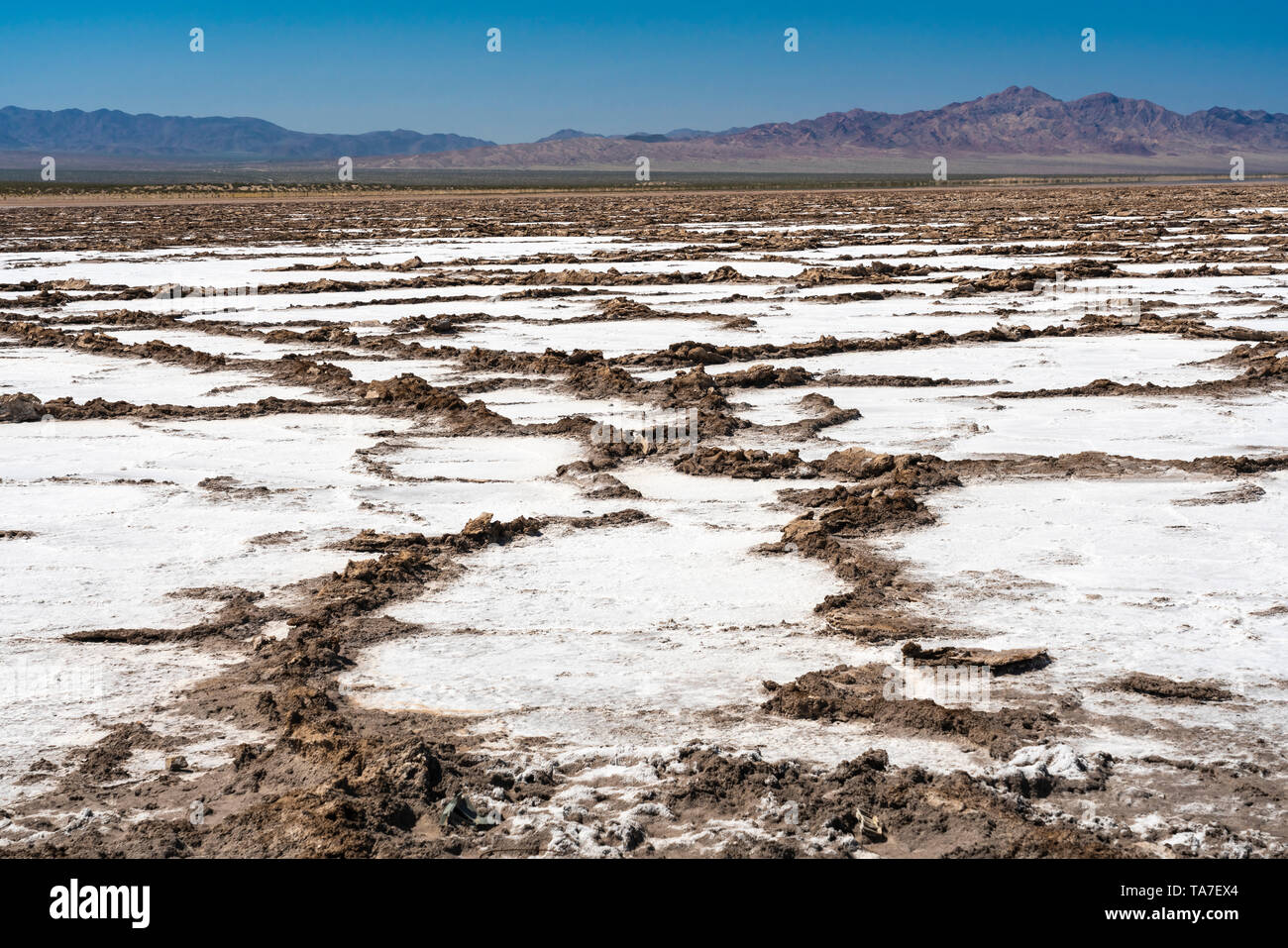 Le Bristol Dry Lake accumulation de sel sur la Route 66, près de Amboy, Californie, USA. Banque D'Images