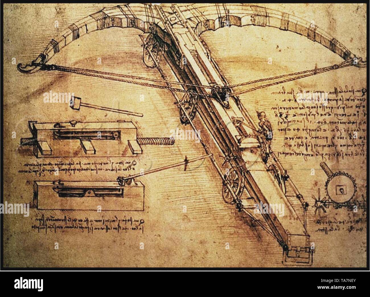 Leonardo Da Vinci art vintage Banque D'Images