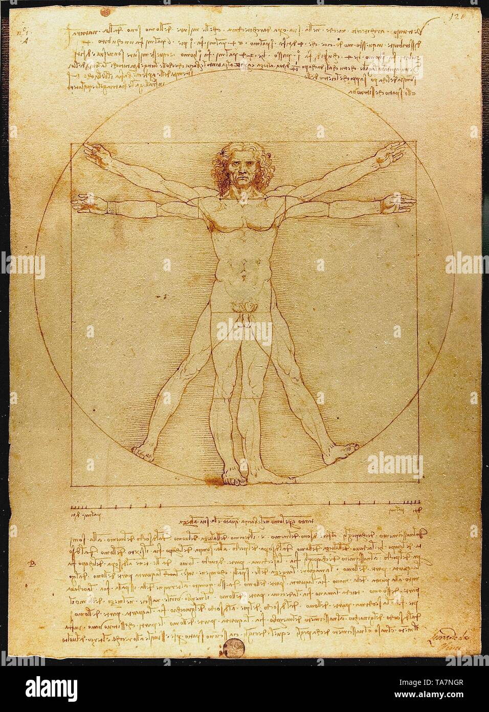 Leonardo Da Vinci art vintage Banque D'Images