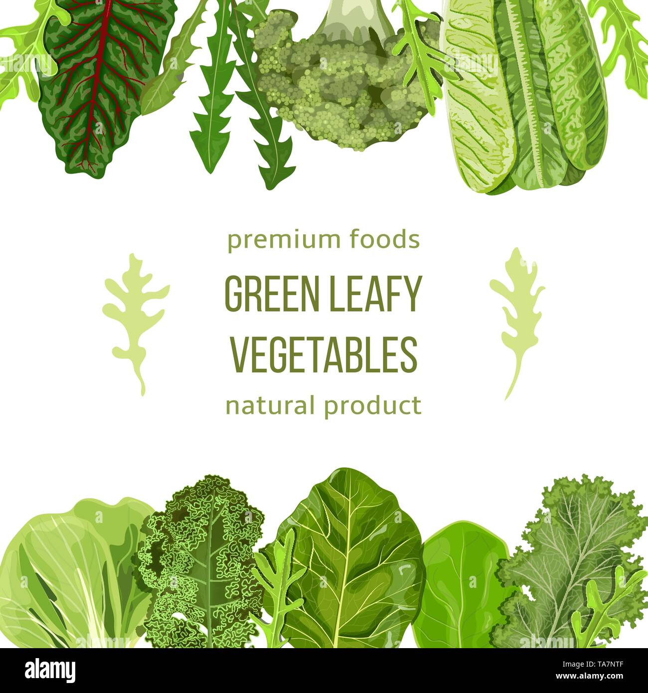 Populaires les légumes verts. Jeu d'étiquettes avec texte sur bande. texte, copt space Illustration de Vecteur