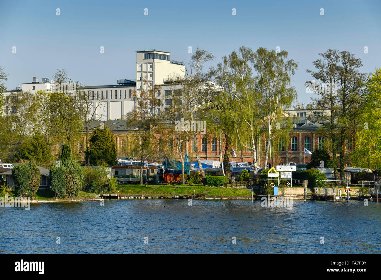 Eiswerder île, Hazel nid, Spandau, Berlin, Allemagne, Insel, Eiswerder Haselhorst, Deutschland Banque D'Images