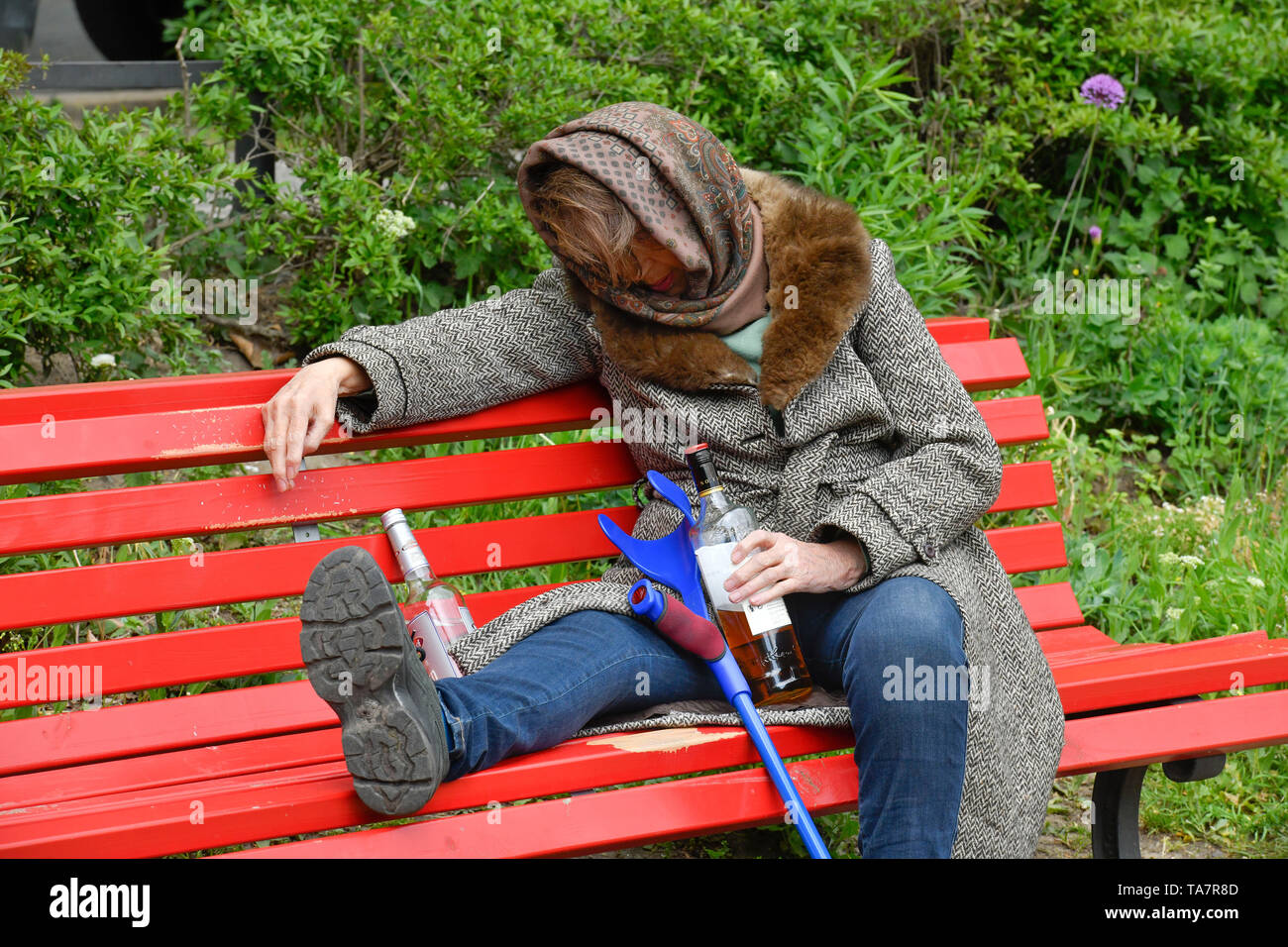 Mettre la photo symbolique, l'alcool, senior, Gestelltes Symbolfoto, Alkohol, Seniorin Banque D'Images