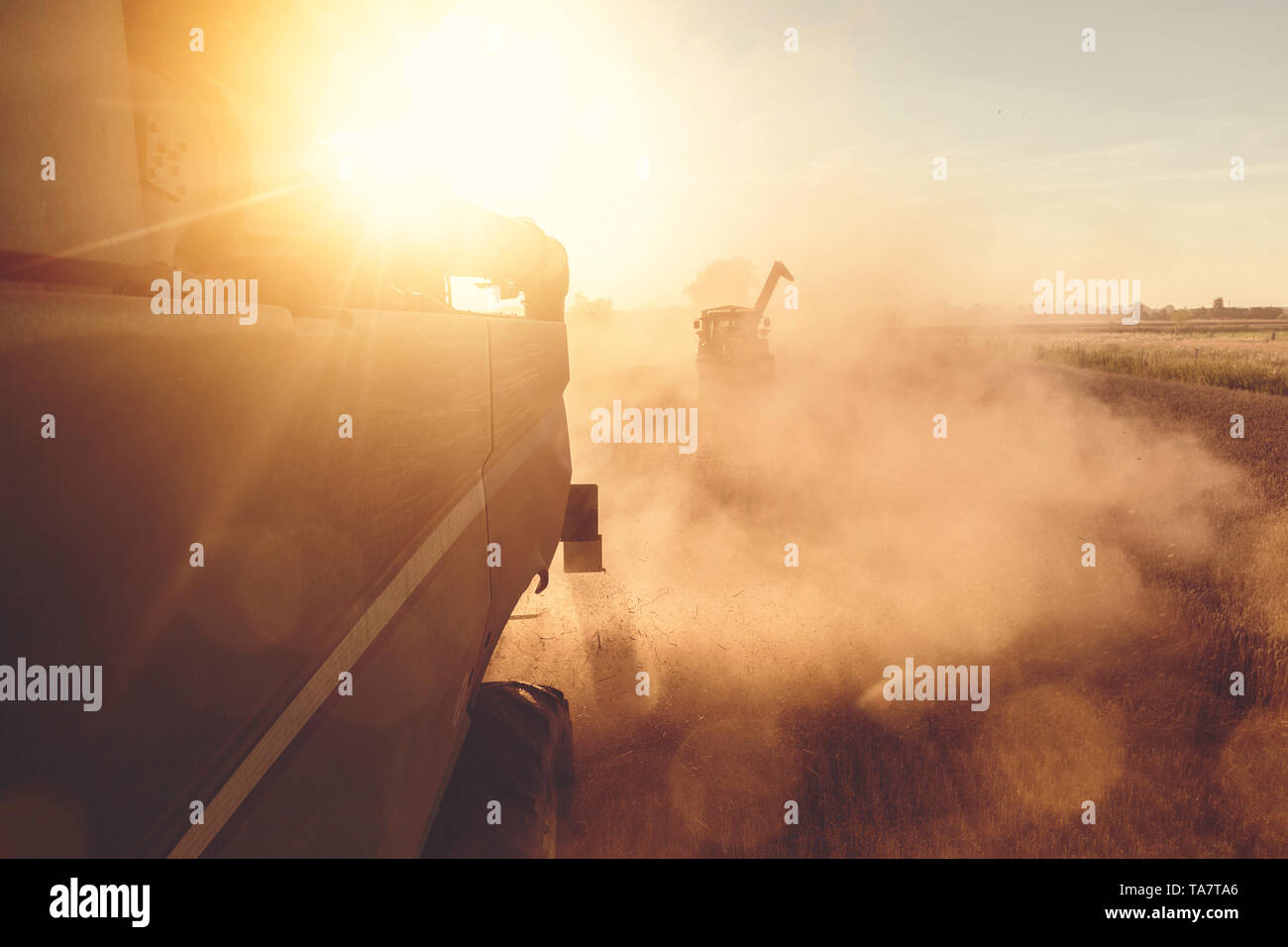 Une moissonneuse-batteuse et un tracteur la récolte au coucher du soleil Banque D'Images