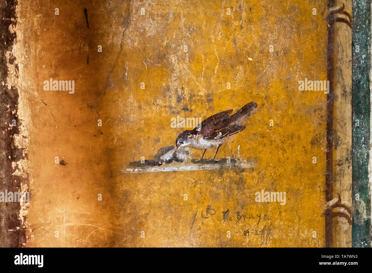 Détail de l'ancienne fresque de un oiseau dans une maison de Pompéi. Banque D'Images