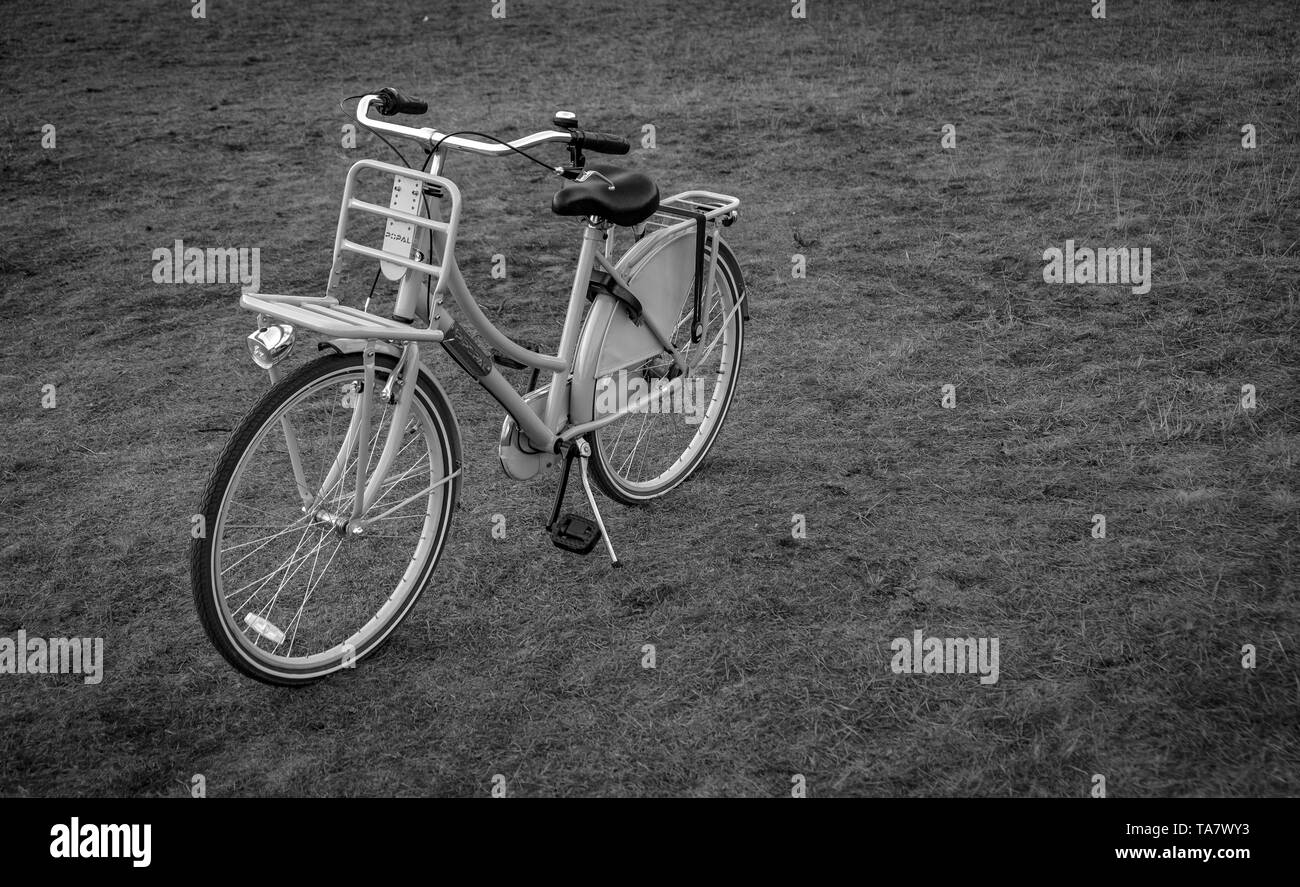 Vélo sur un champ de l'été aux Pays-Bas Banque D'Images