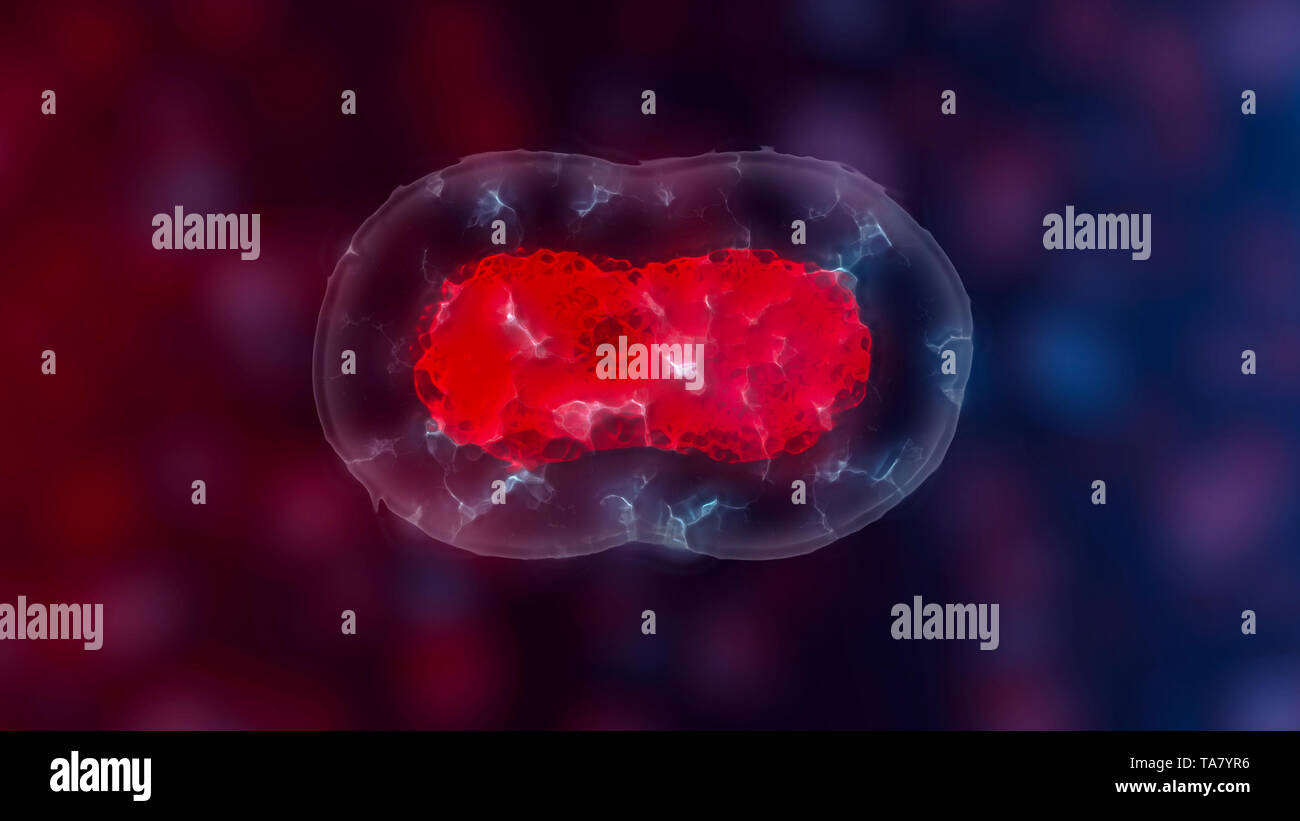 Les cellules souches embryonnaires ou la croissance, la réhabilitation et le traitement des maladies, illustrations 3D Banque D'Images