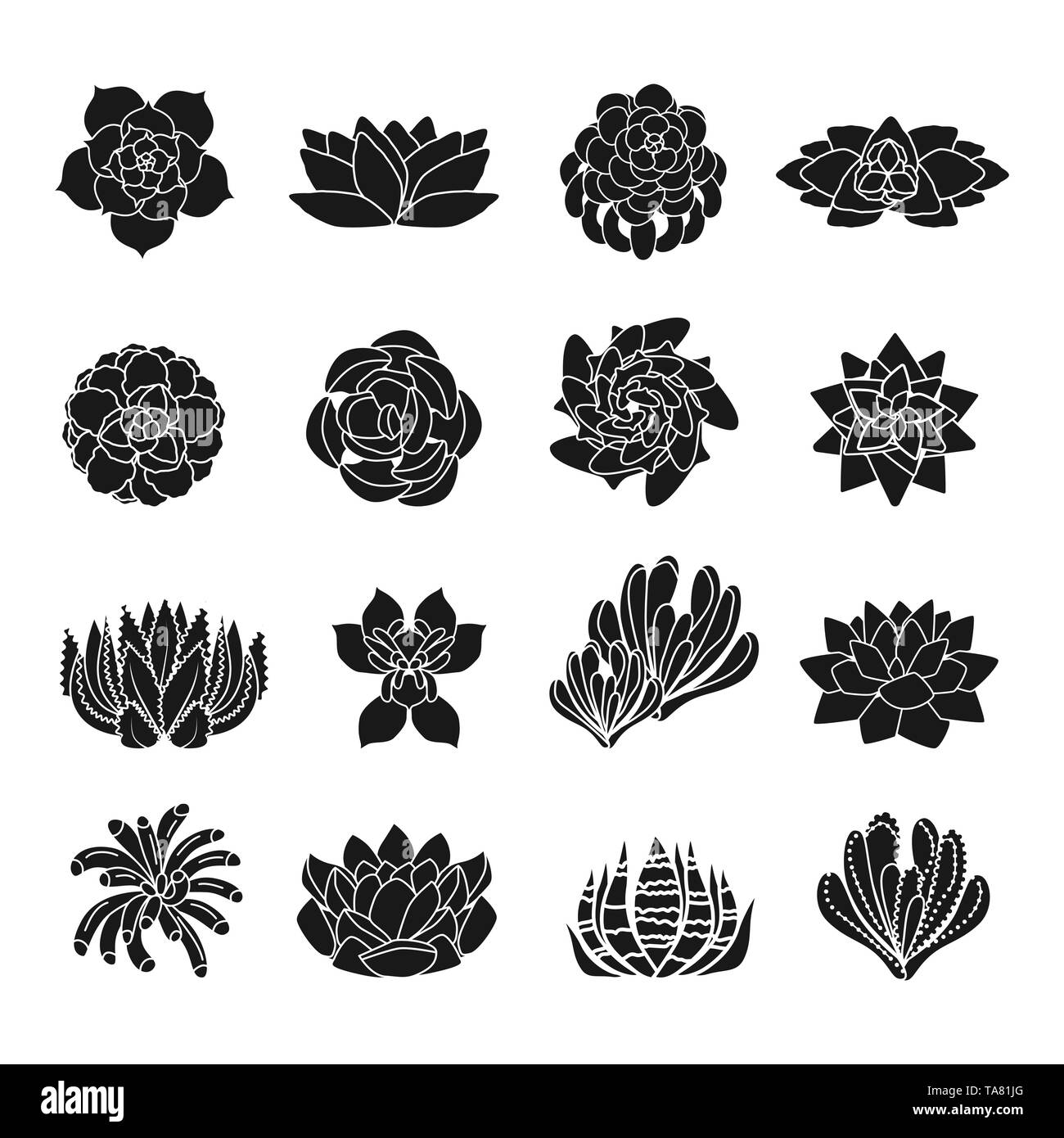 Succulentes icons set. Simple jeu d'icônes vectorielles succulentes pour le web design sur fond blanc Illustration de Vecteur