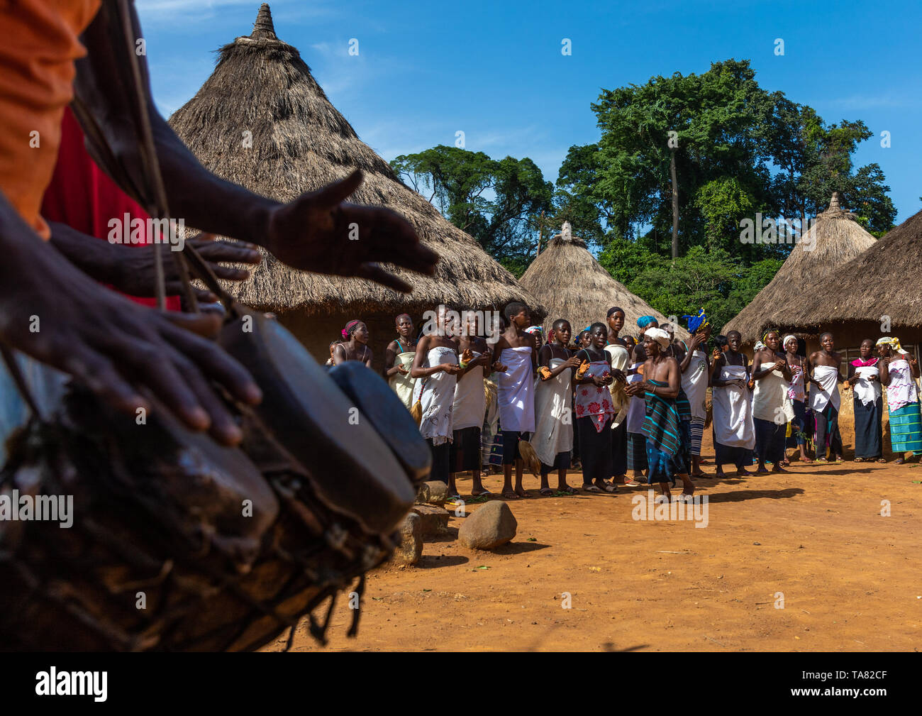 Les femmes de la tribu de Dan dans le chant et la danse en ligne lors d'une cérémonie, Bafing, Gboni, Côte d'Ivoire Banque D'Images