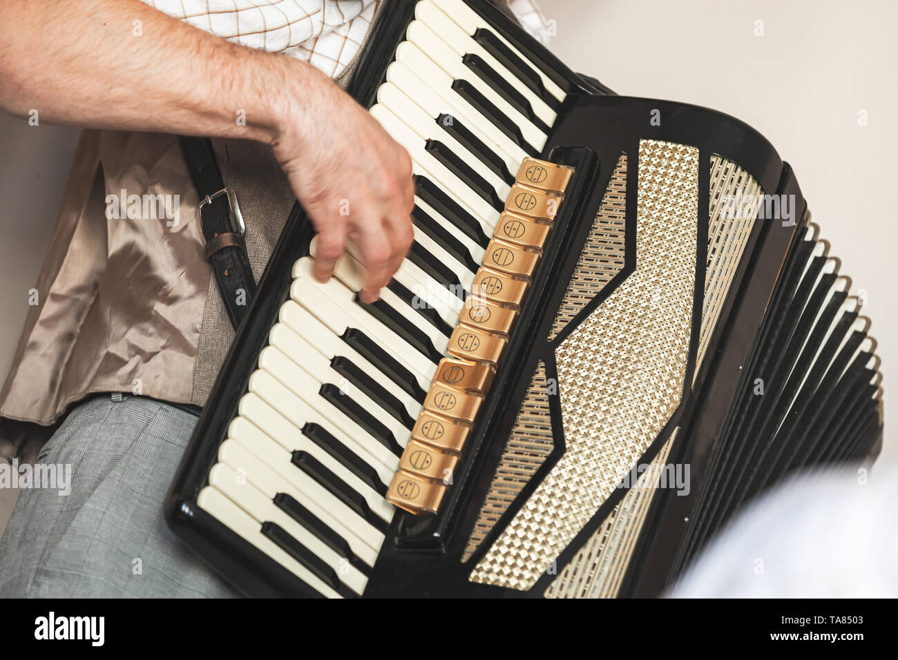 L'accordéoniste joue vintage accordéon. Photo en gros plan avec soft focus sélectif Banque D'Images