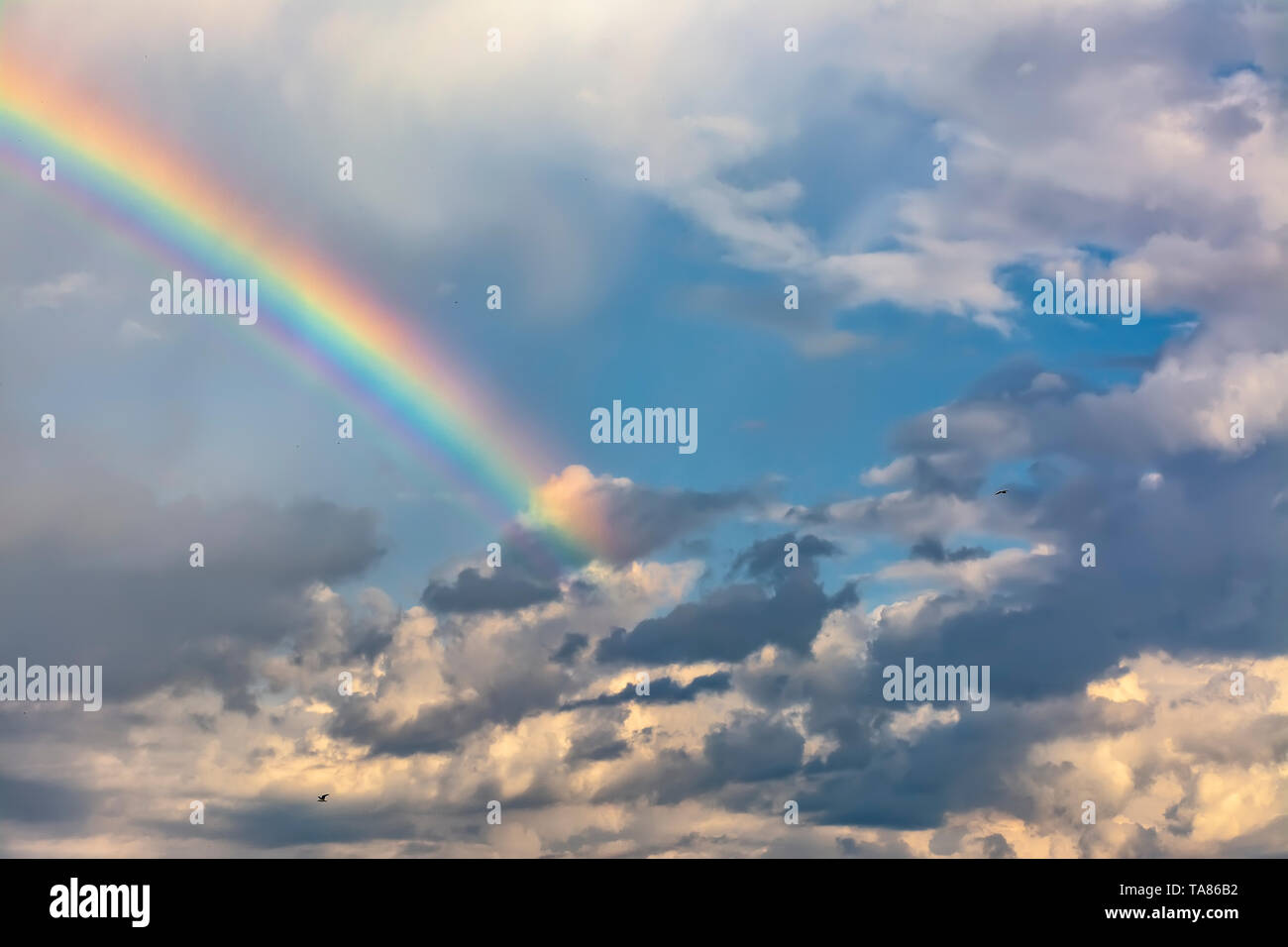 Nuages D'orage Et Pluie Avec Un Arc En Ciel Banque d'image et photos ...
