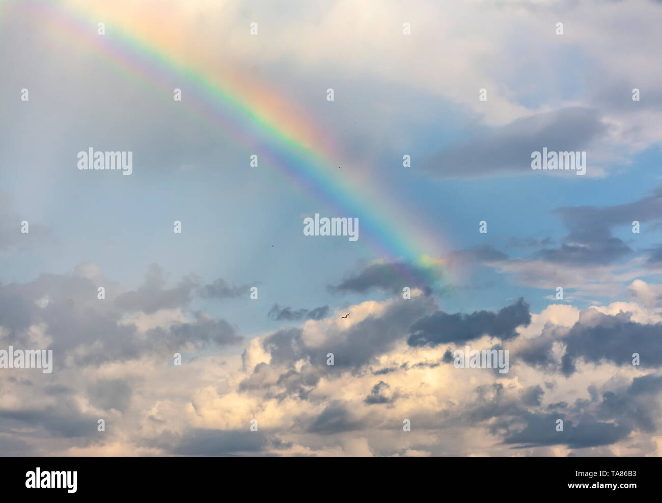 Nuages D'orage Et Pluie Avec Un Arc En Ciel Banque d'image et photos ...