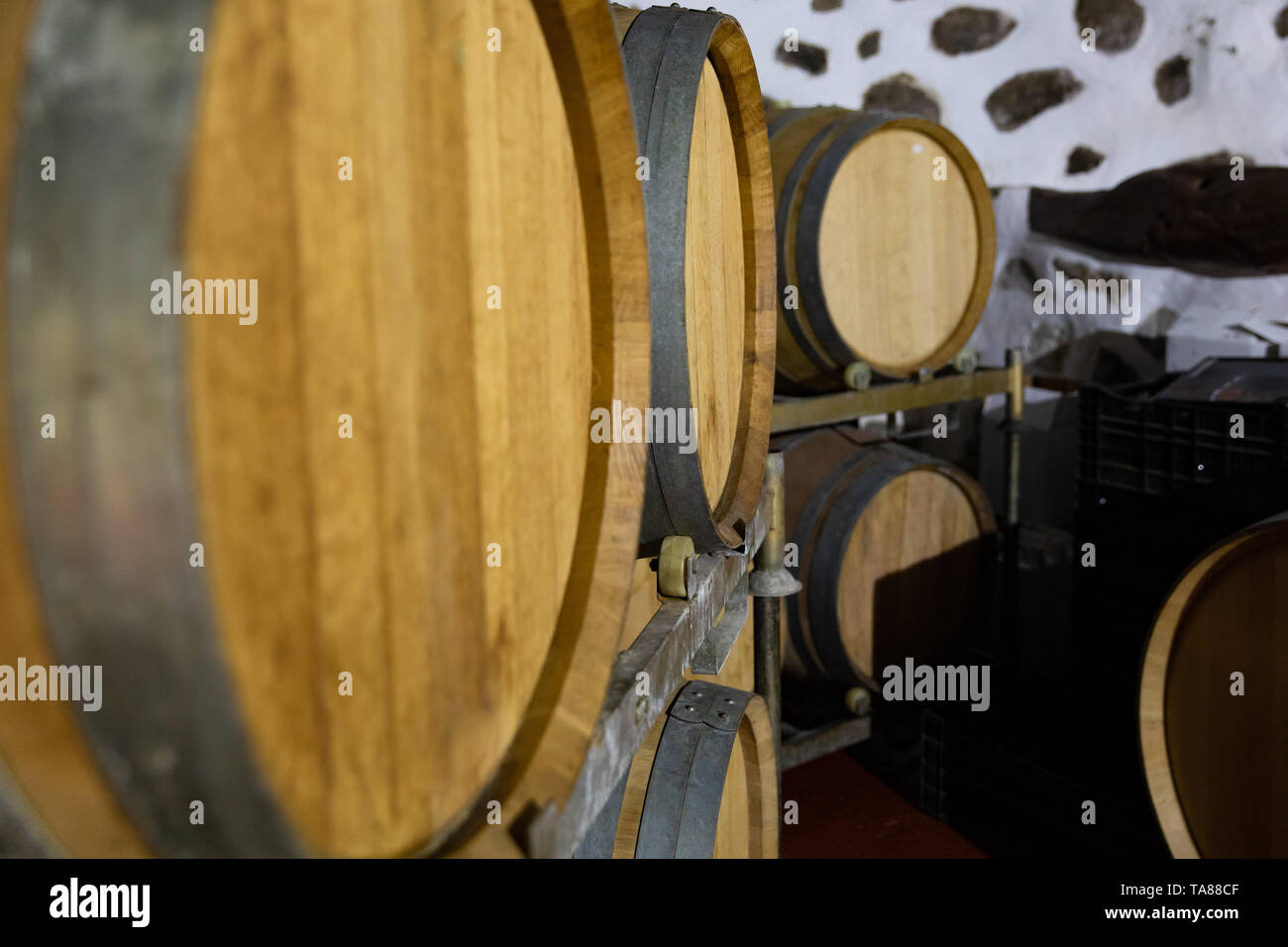 Close-up de fûts de bois de chêne entreposés dans une cave à vin Banque D'Images