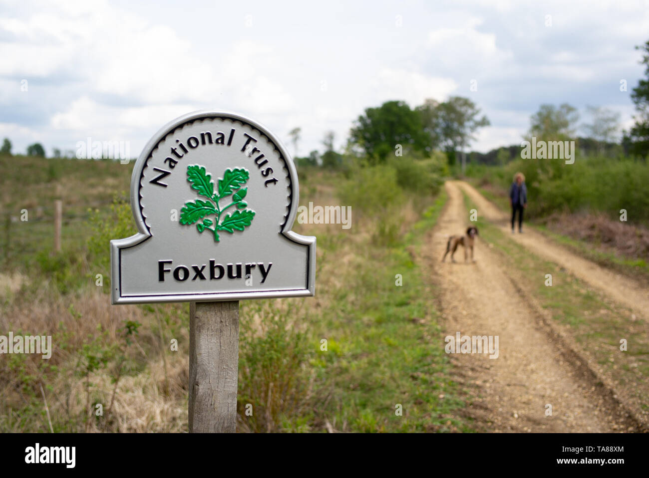 National Trust Foxbury Foxbury, signe d'argent est de 150 hectares de landes et de bois qui protège la faune et est fermé au public. Banque D'Images