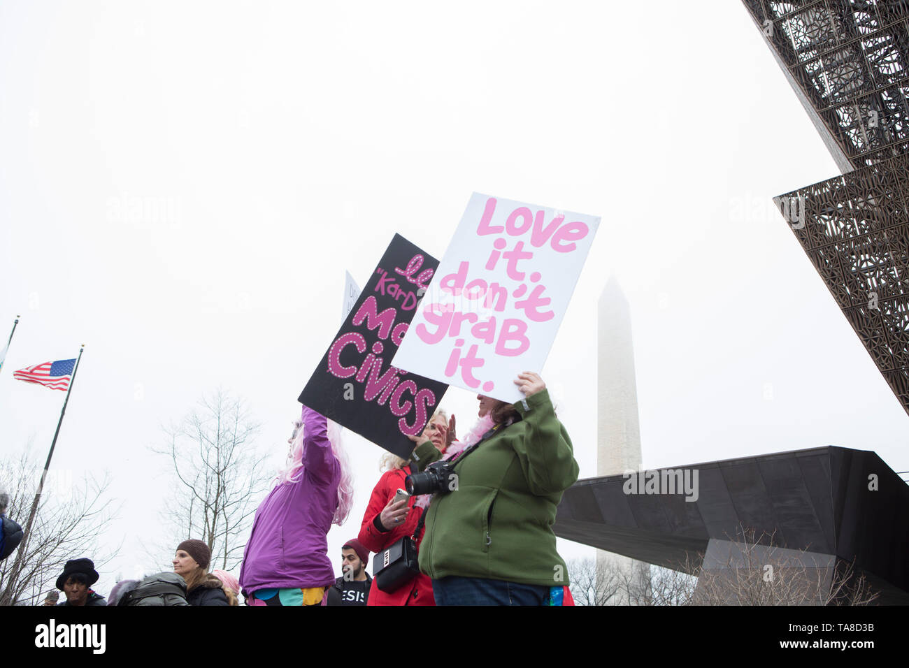 Les manifestants brandissant des signes au cours de la Marche des femmes, Washington, D.C., USA, le 21 janvier 2017 Banque D'Images