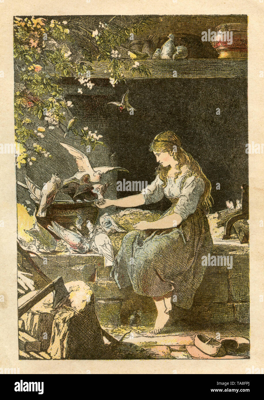 Cendrillon, les colombes sont d'aider la jeune fille choisir des lentilles. Conte de Grimm , Paul Meyerheim (, 1907) Banque D'Images