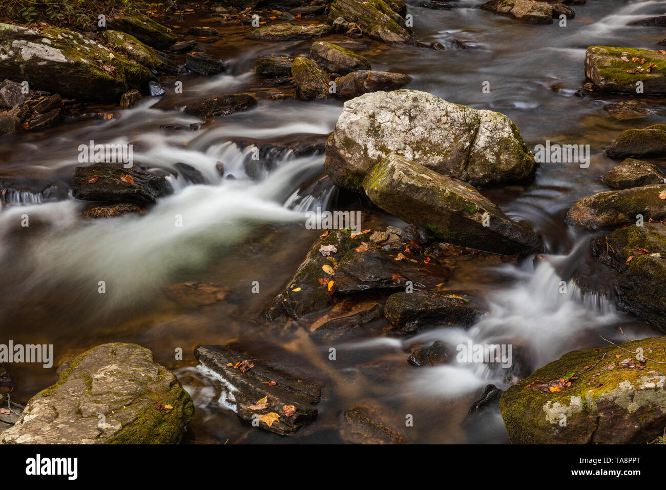 Smith Creek, chutes d'Anna Ruby, Chattahoochee National Forest, Helen, Géorgie Banque D'Images
