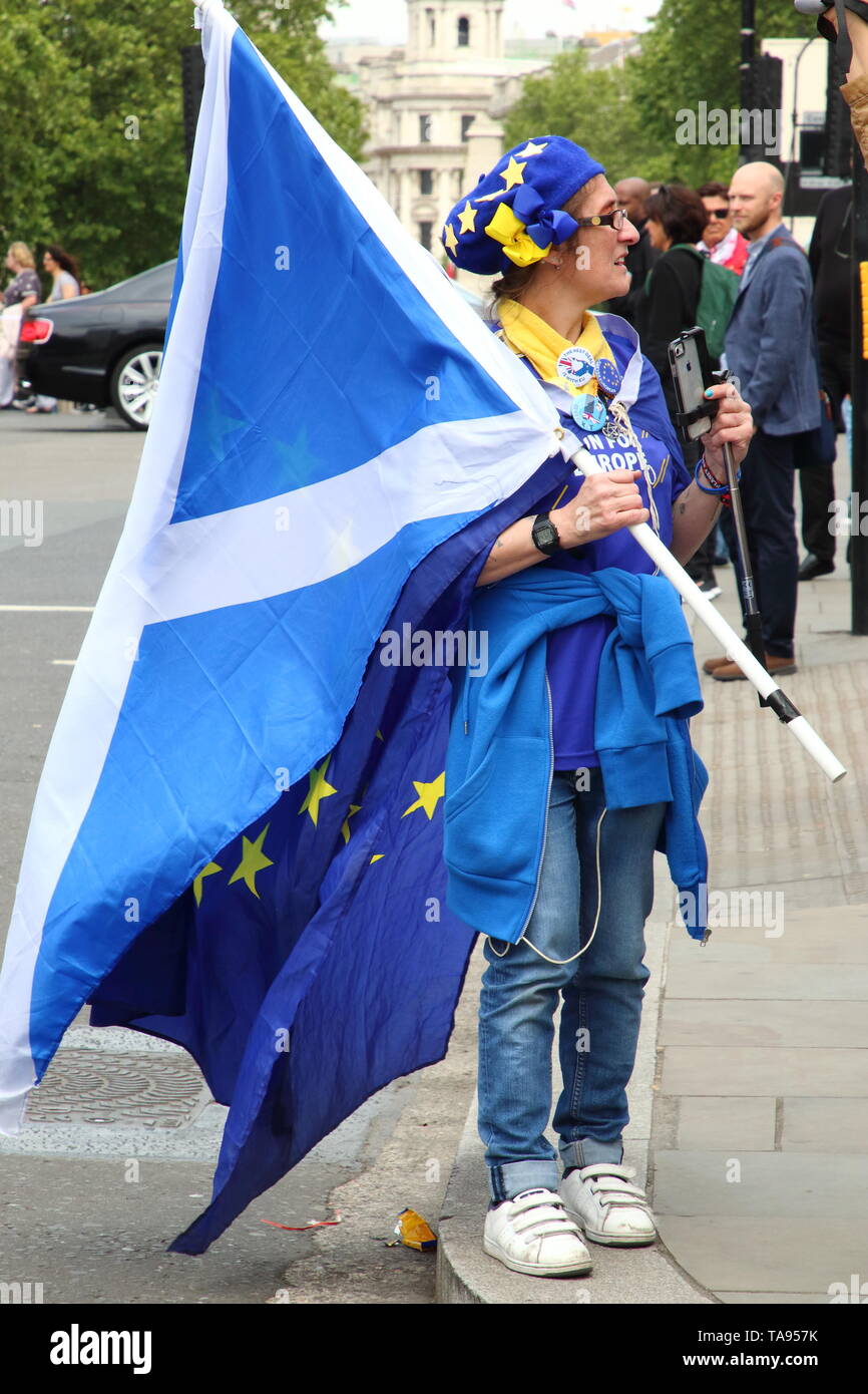 Un Anti-Brexit manifestant vu tenant un drapeau de l'Union européenne et à l'extérieur du pavillon écossais du Parlement à Westminster, Londres à la veille des élections du Parlement européen. Banque D'Images