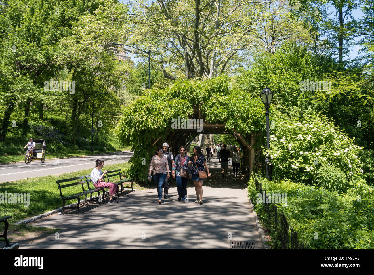 Par passerelle Arbor de Central Park, NYC Banque D'Images