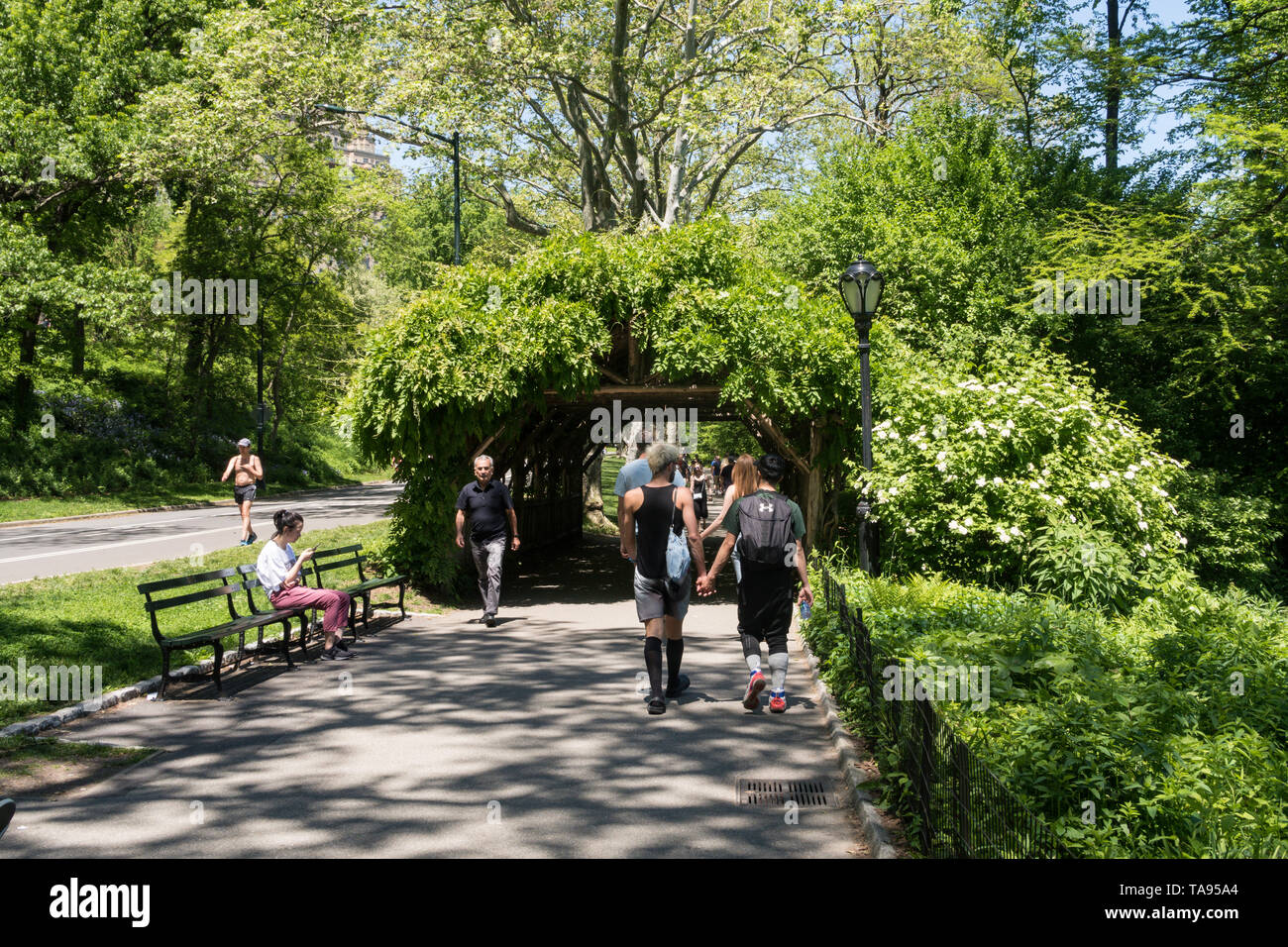 Par passerelle Arbor de Central Park, NYC Banque D'Images